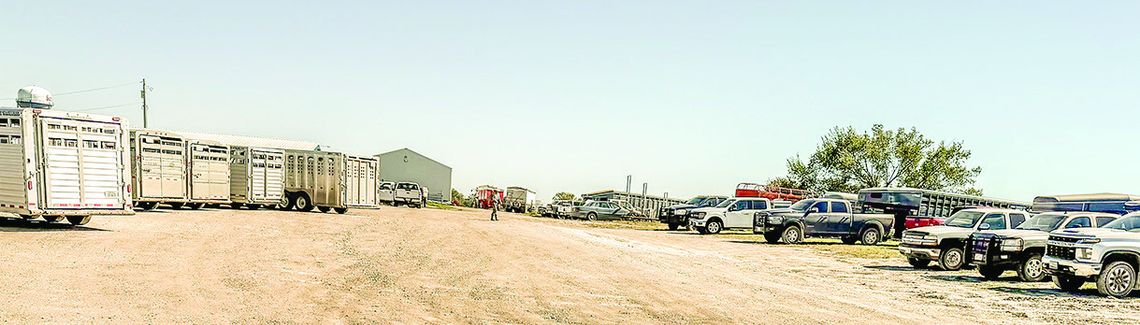Sutton Livestock Barn marks 11 years under Kimminau family Sutton Livestock Barn marks 11 years under Kimminau family