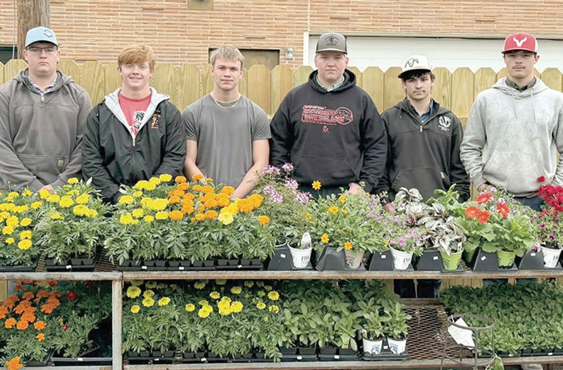 Sutton students build skills, give back with hands-on construction projects