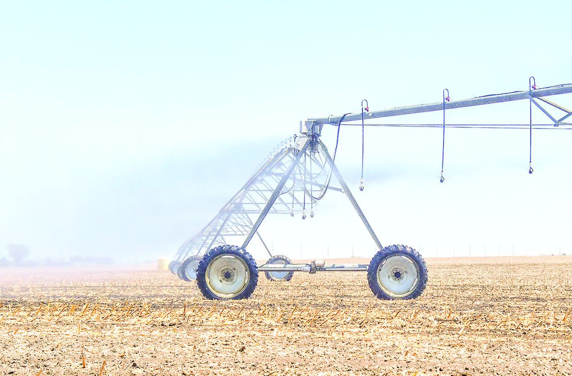 The planting and growing season is in full gear